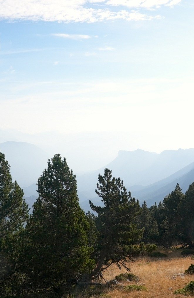 Paysage de montagne dans les Pyrénées espagnoles — vacances célibataires bien-être août 2026