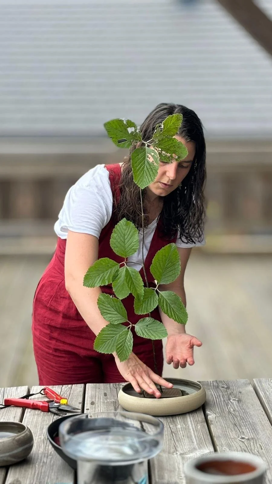 07.24 ALSACE VOSGES RANDONNEE3.jpeg