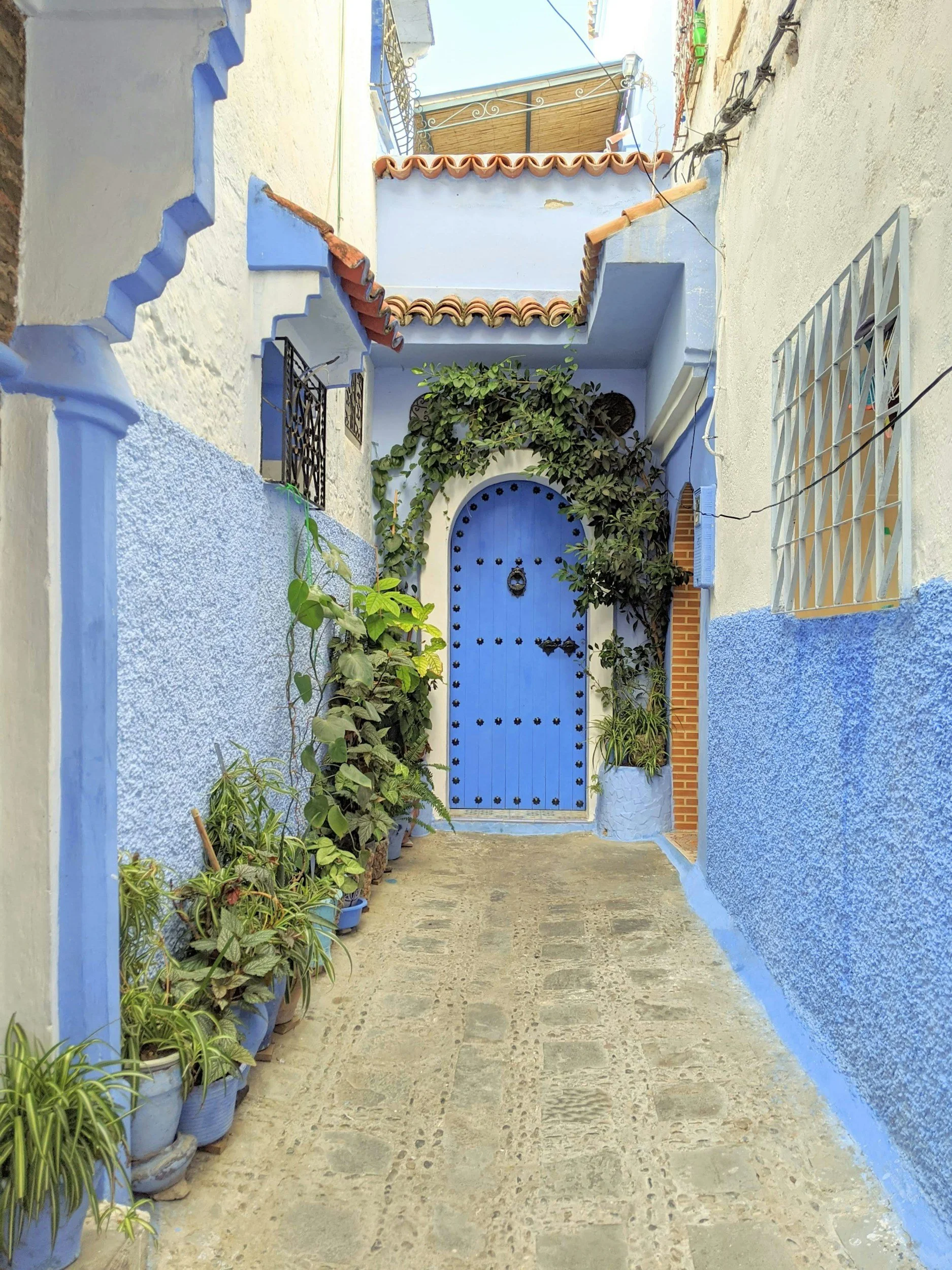 Maroc en hiver : la destination idéale pour une retraite bien-être au soleil
