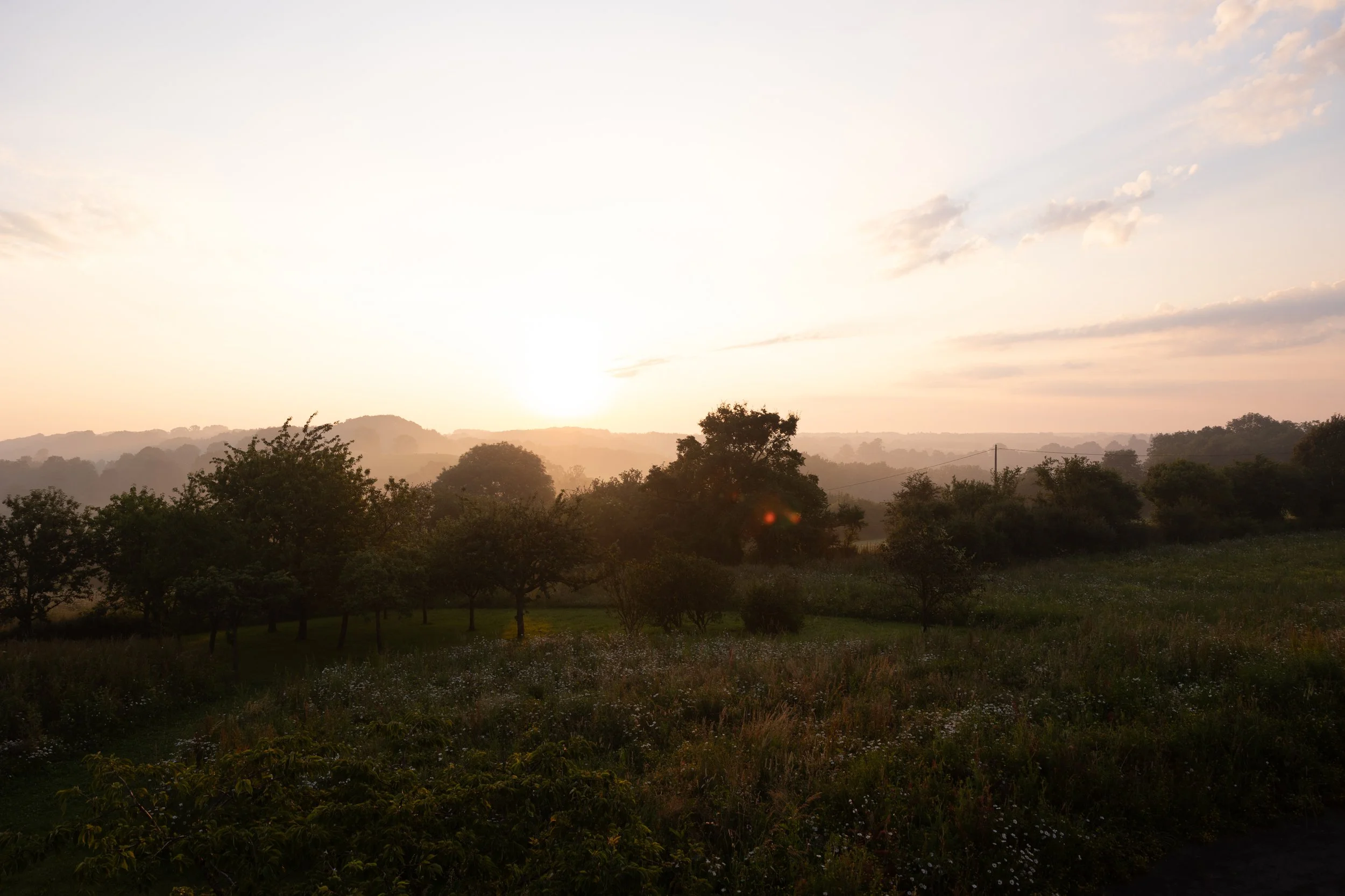 Séjour yoga et massage thaï dans le Perche en février : pratiques restauratives, initiation aux postures de yin yoga, détente profonde ; retraite yoga France parfaite pour relâcher le stress hivernal.