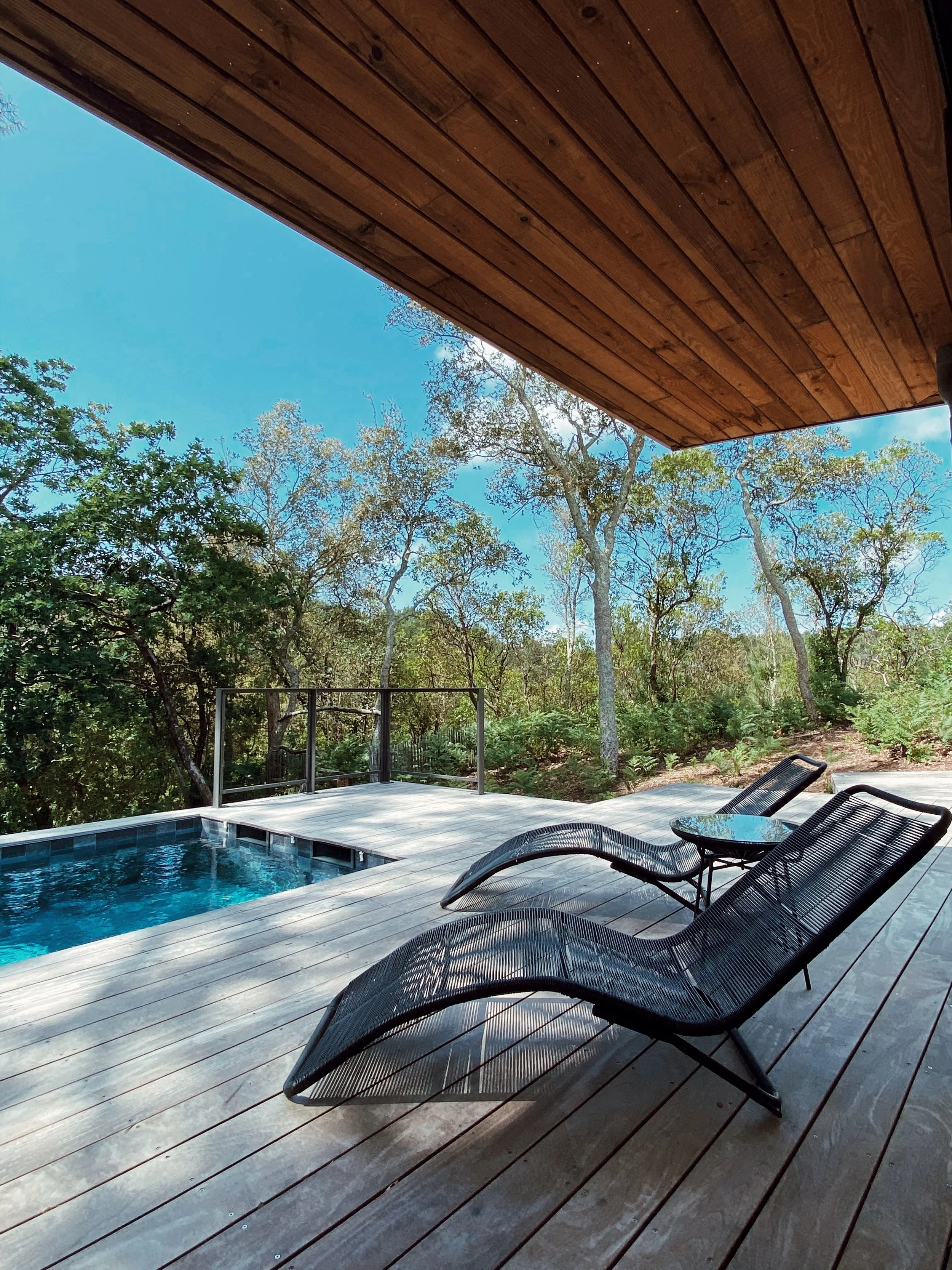 Vue panoramique sur la forêt landaise depuis la terrasse du lieu de retraite yoga à Hossegor – un cadre apaisant pour se reconnecter à la nature, entre détente, silence et bien-être.