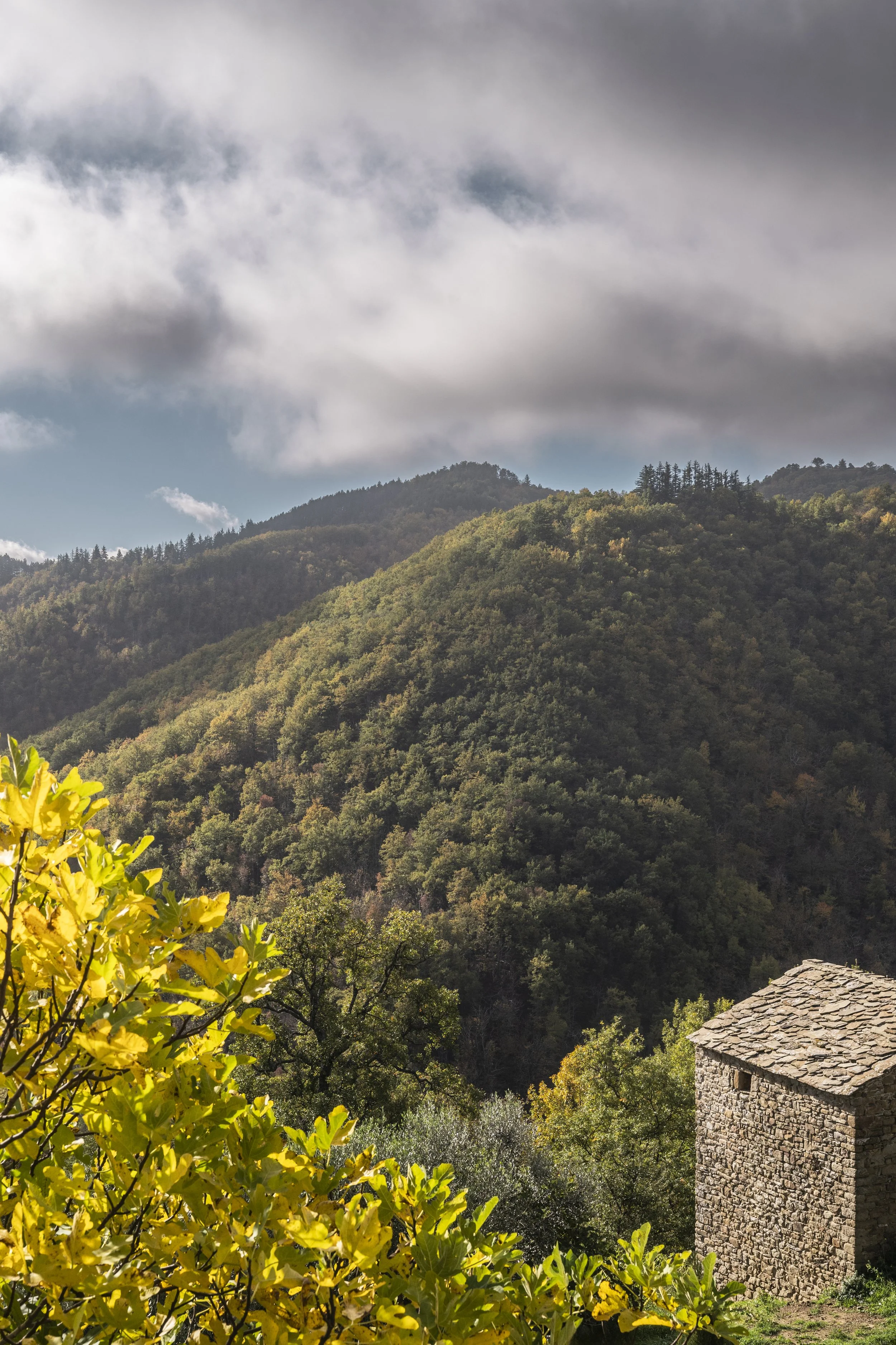 Collines toscanes – Séjour bien-être Italie – Crédit photo : © Anne-Emmanuelle Thion