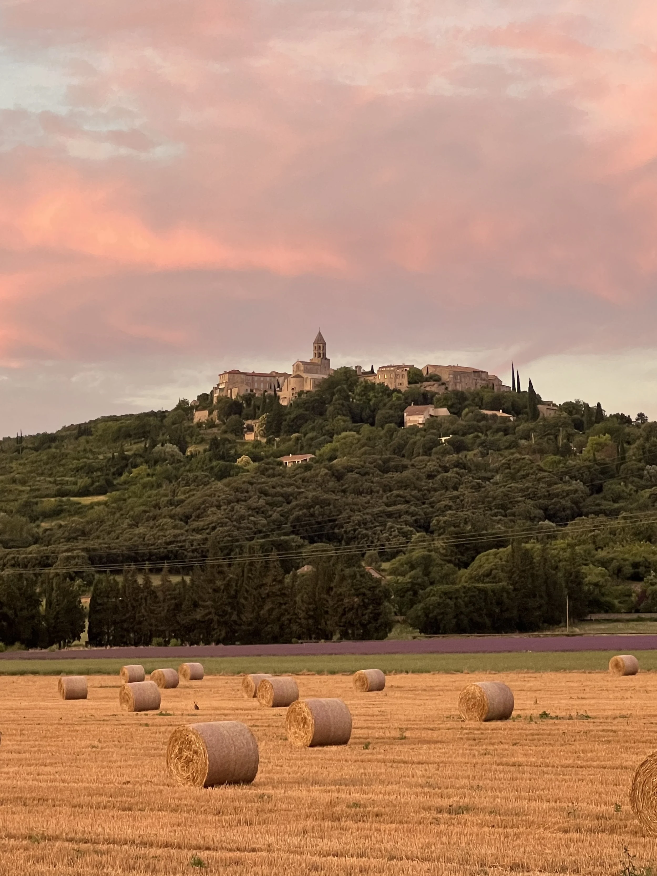 Retraite yoga en janvier dans la Drôme provençale avec atelier numérologie : méditation, vinyasa et exploration intérieure ; un séjour yoga France idéal pour poser ses intentions de l’année.