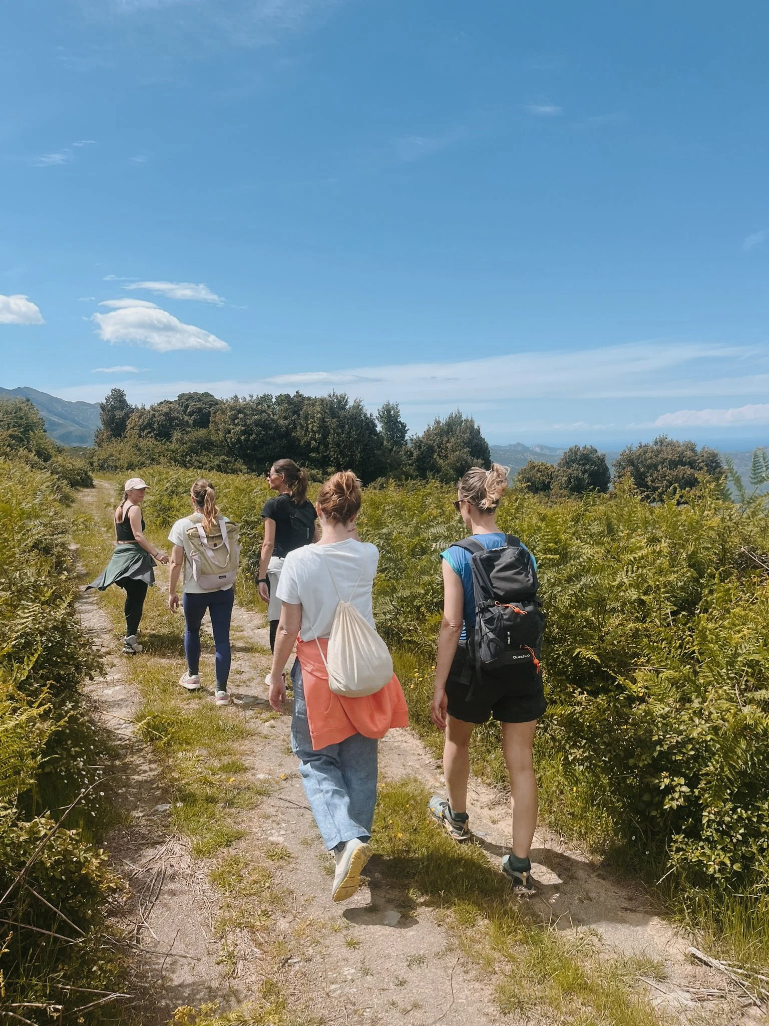 Groupe de femmes en randonnée dans les vignes — retraite yoga sororité et marche Haute-Corse octobre 2026