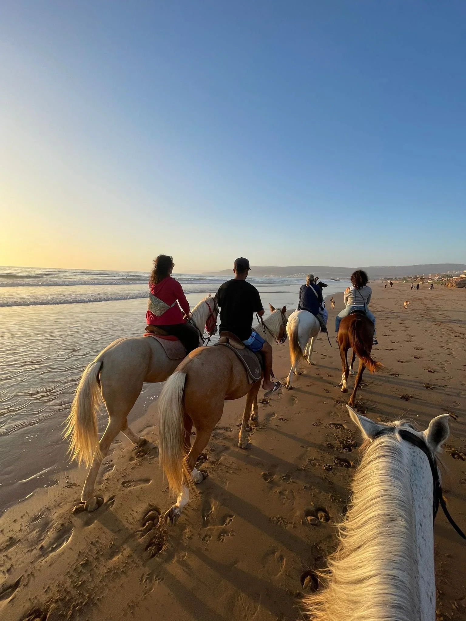 Sortie à cheval sur la plage d’Essaouira durant une retraite yoga & équitation Maroc, expérience nature unique.