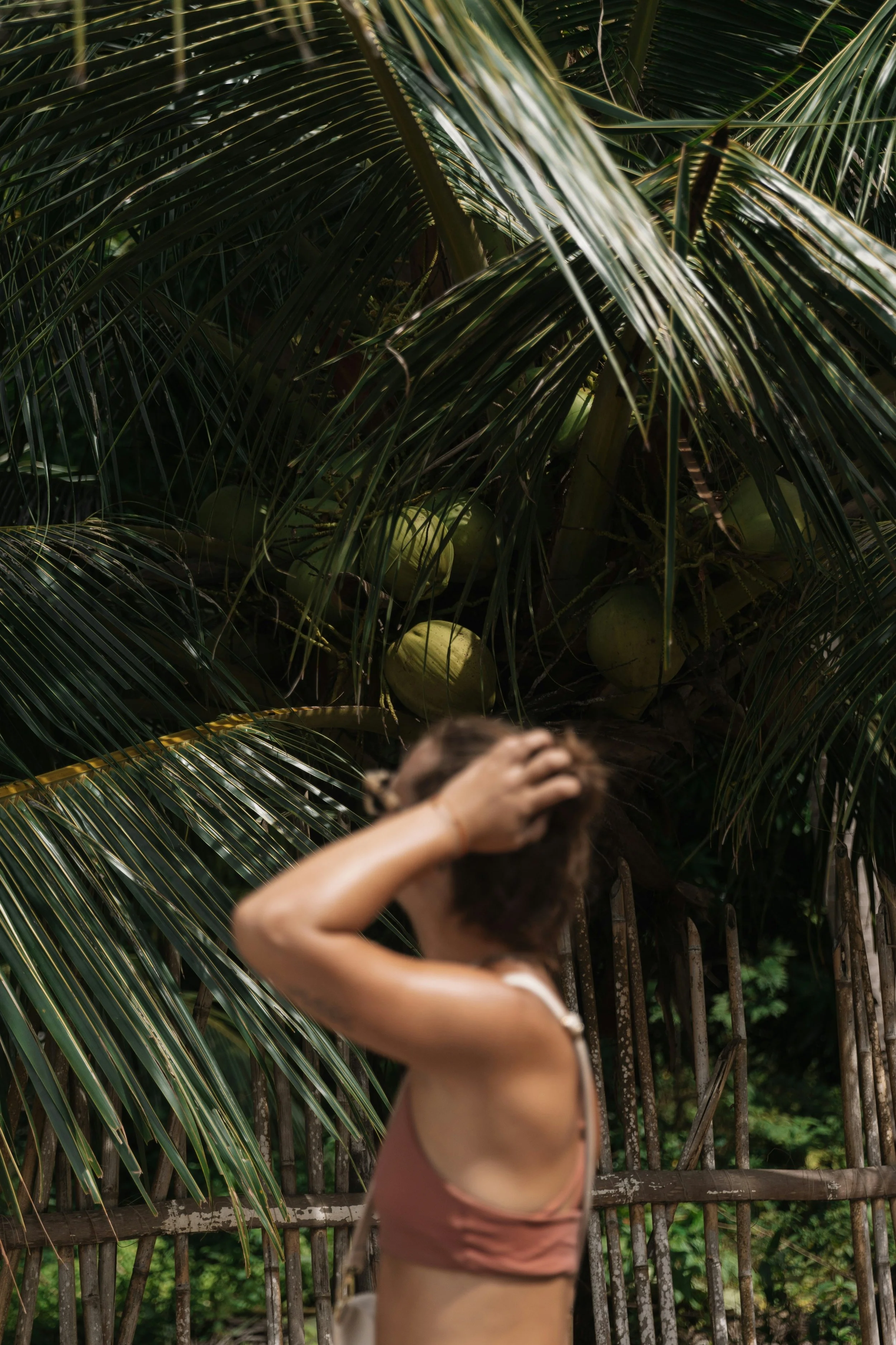 thomas-boxma-837U3FEntF8-unsplash.jpg