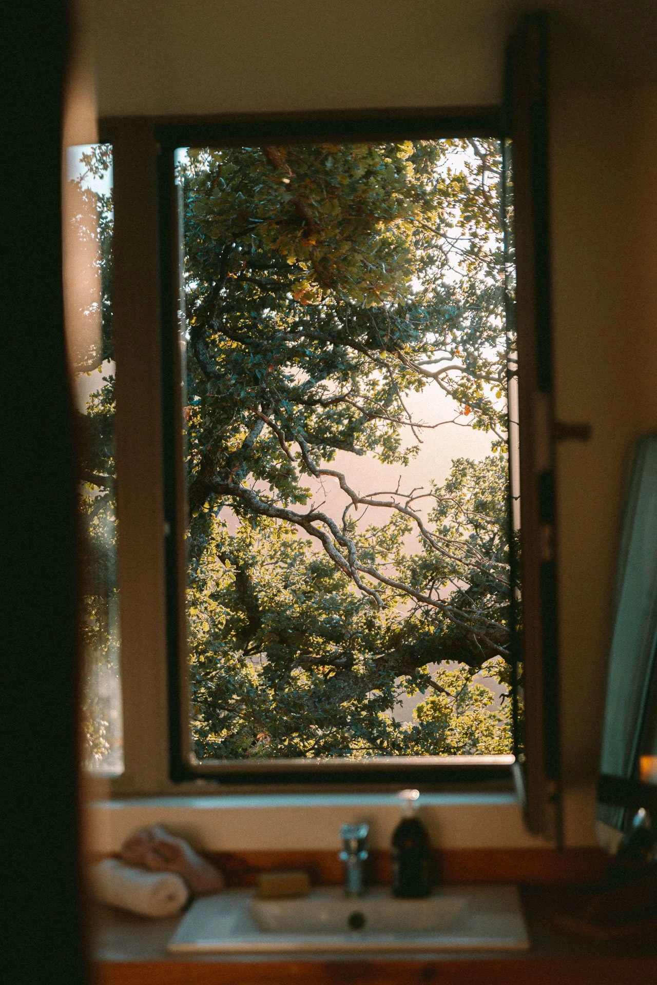 fenêtre de salle de bain ouverte sur les arbres et la lumière du maquis, espace de soin et de calme pendant la retraite yoga et méditation en Corse