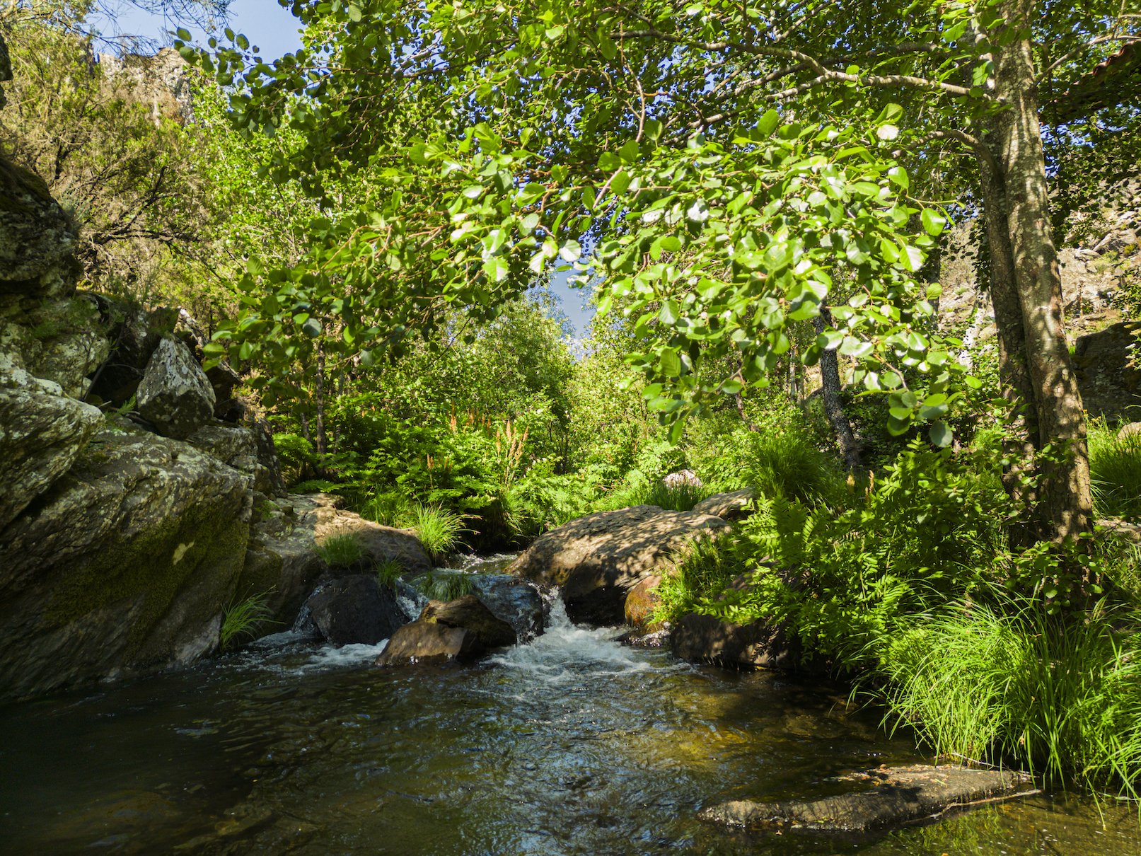 Portugal-Tinhela6107.jpg