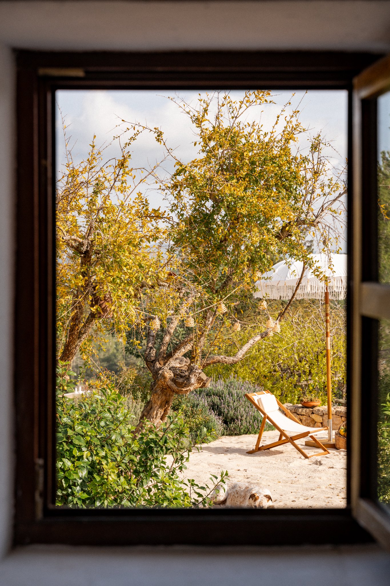 Vue panoramique depuis la villa accueillant notre retraite de yoga à Ibiza