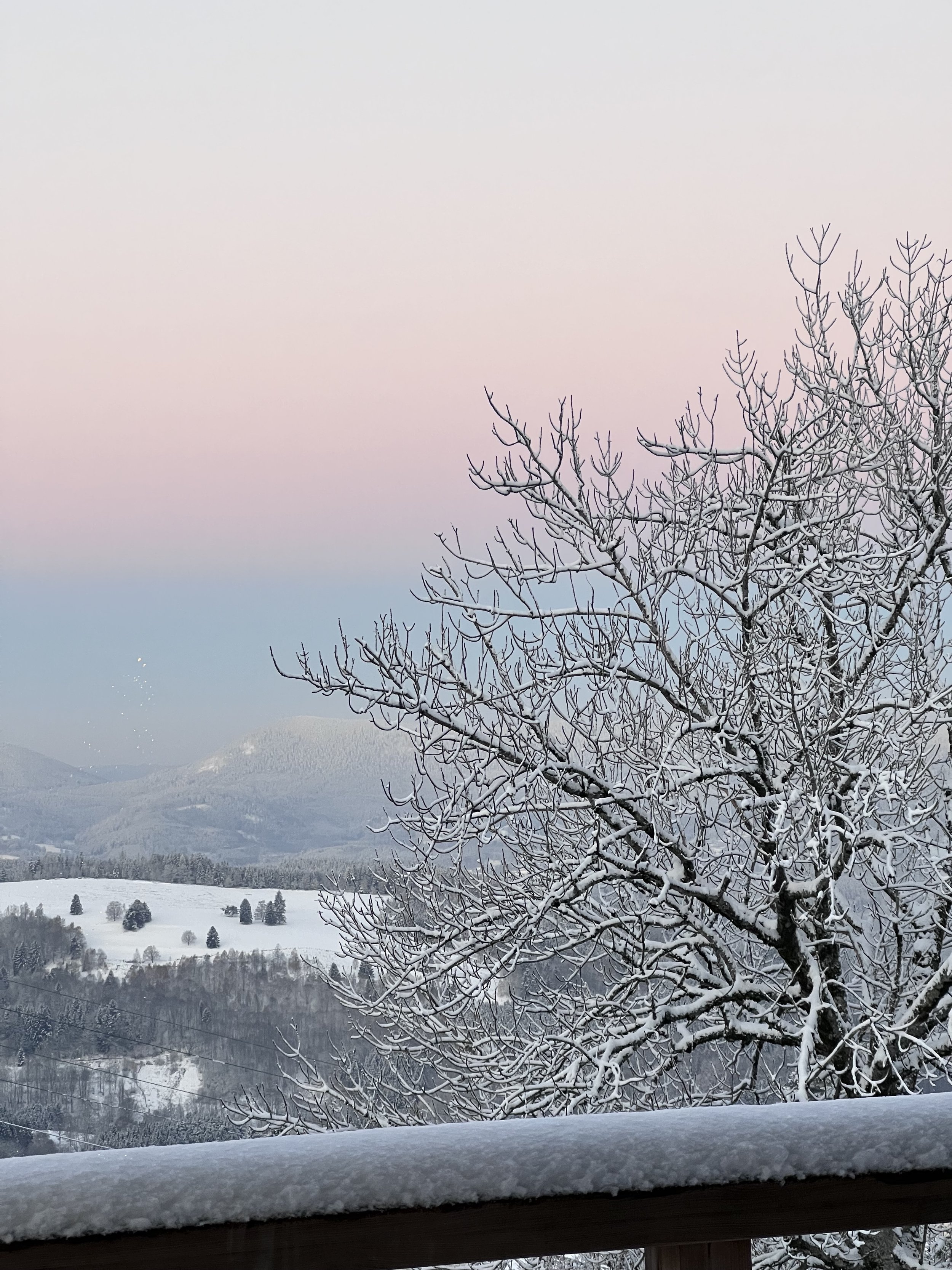12.23_ALSACE VOSGES65.jpeg