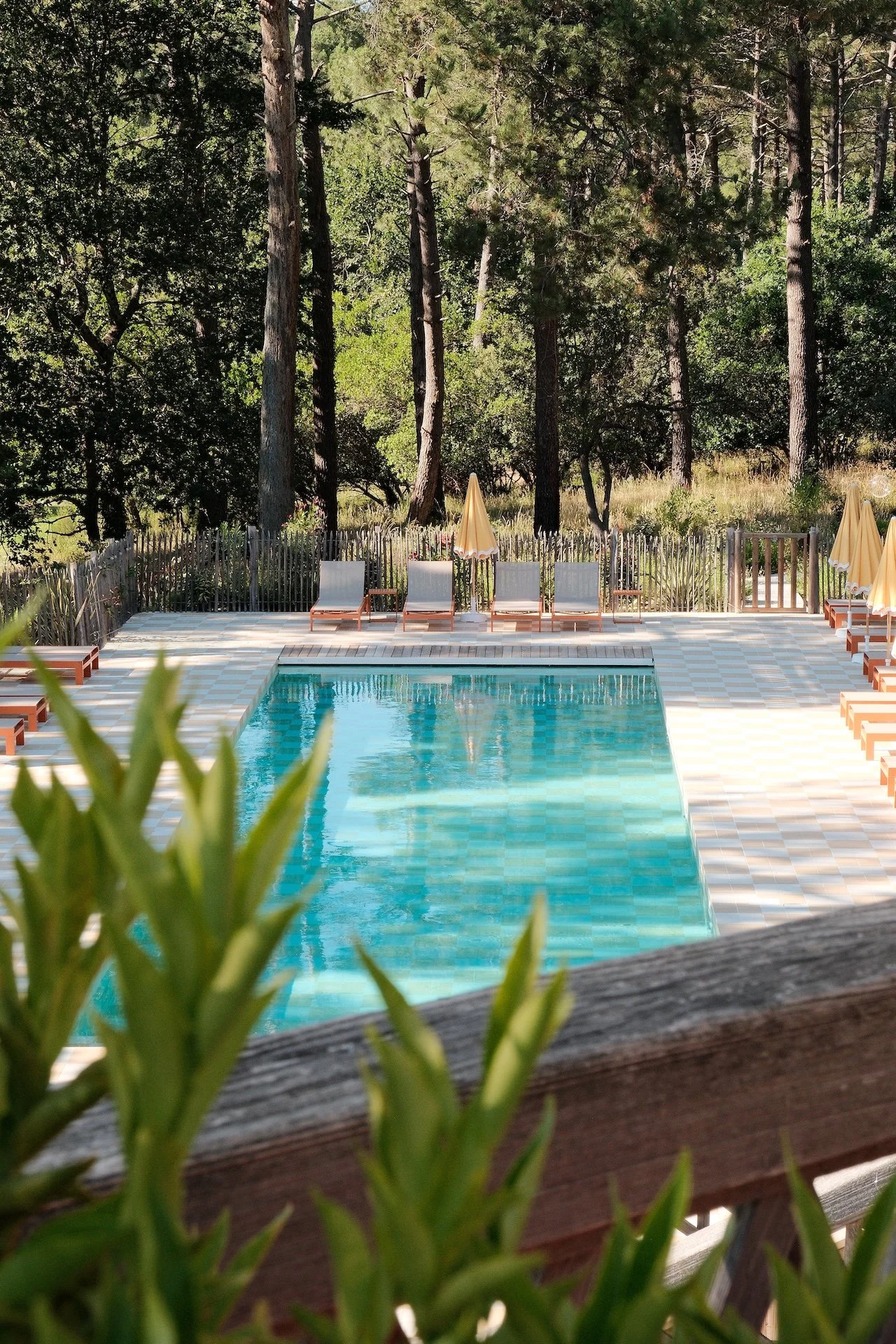 Piscine extérieure entourée de pins landais, hôtel La Baignoire Lacanau retraite bien-être femme
