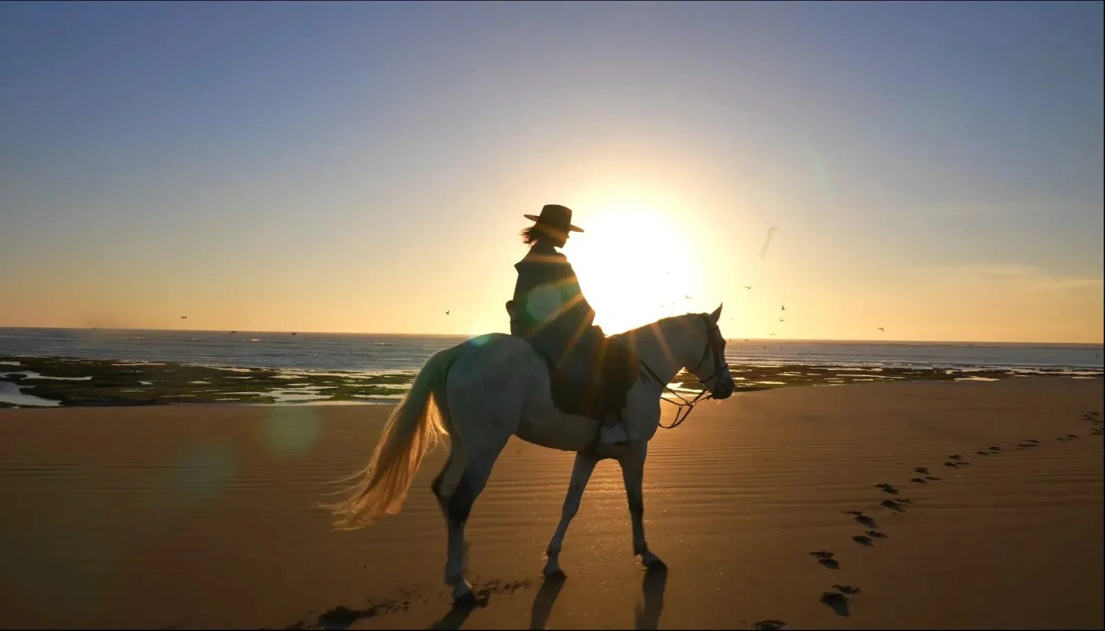 Cavalière au chapeau sur cheval blanc face à l'océan au coucher du soleil — balade équestre retraite yoga Essaouira Maroc