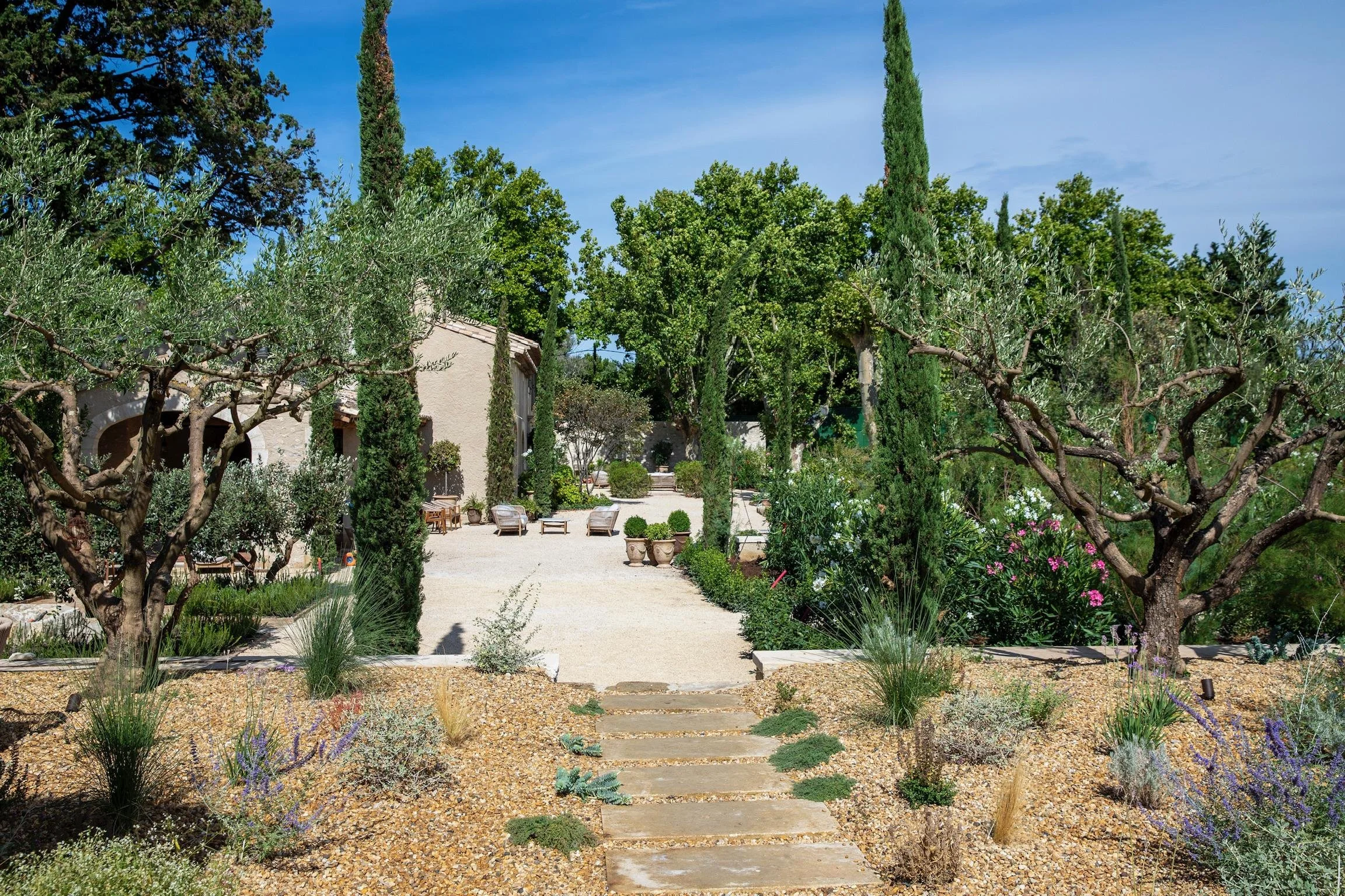 Allée d'oliviers et de cyprès menant au mas provençal - retraite yoga automne 2026