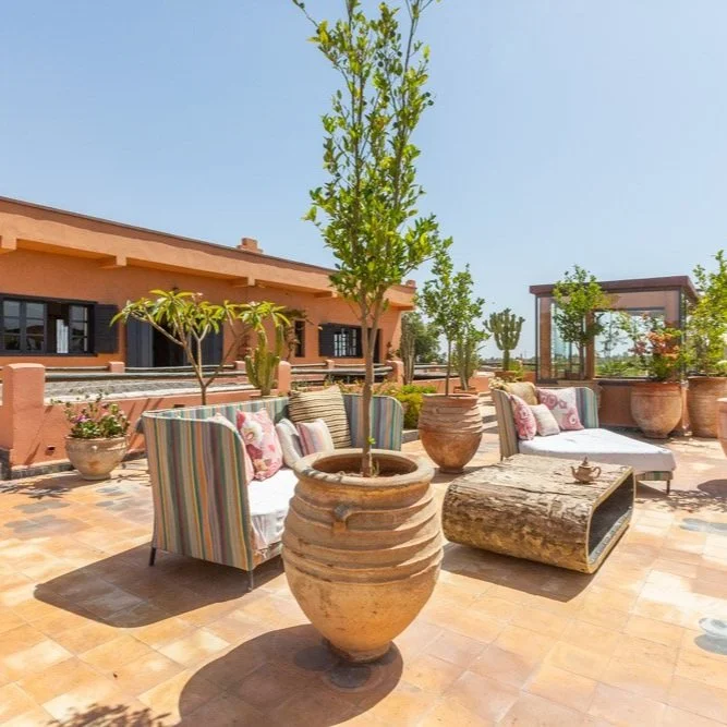 Terrasse ensoleillée avec vue sur les oliviers et l'Atlas — espace détente retraite yoga Marrakech novembre