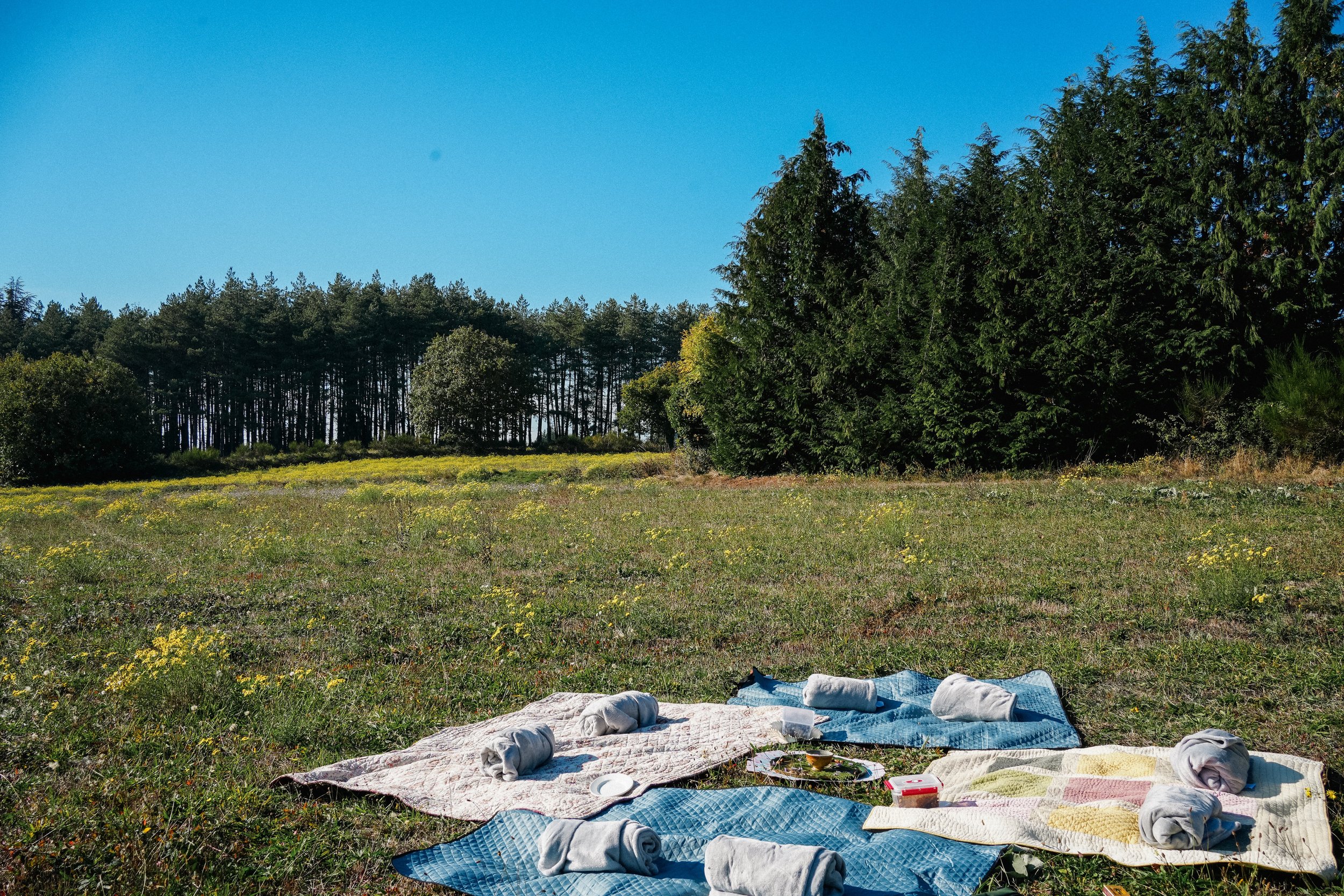 Un coin de nature pour les cercles, la méditation ou le repos, au cœur d’un environnement préservé près de Carcassonne.
