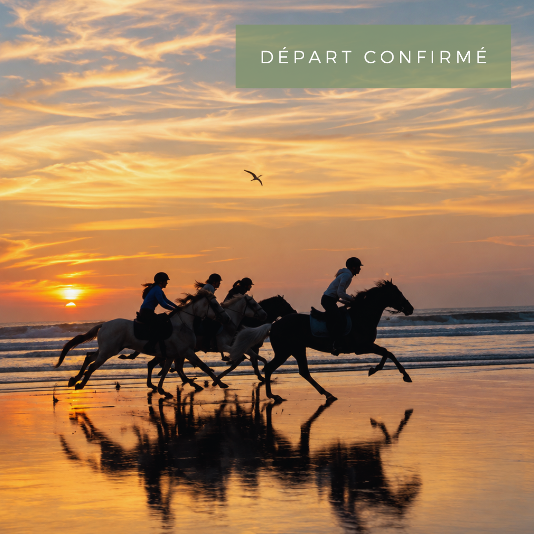 Du 1er au 5 Novembre 2026 - Retraite yoga & équitation "The Art of Freedom" - Essaouira, Maroc