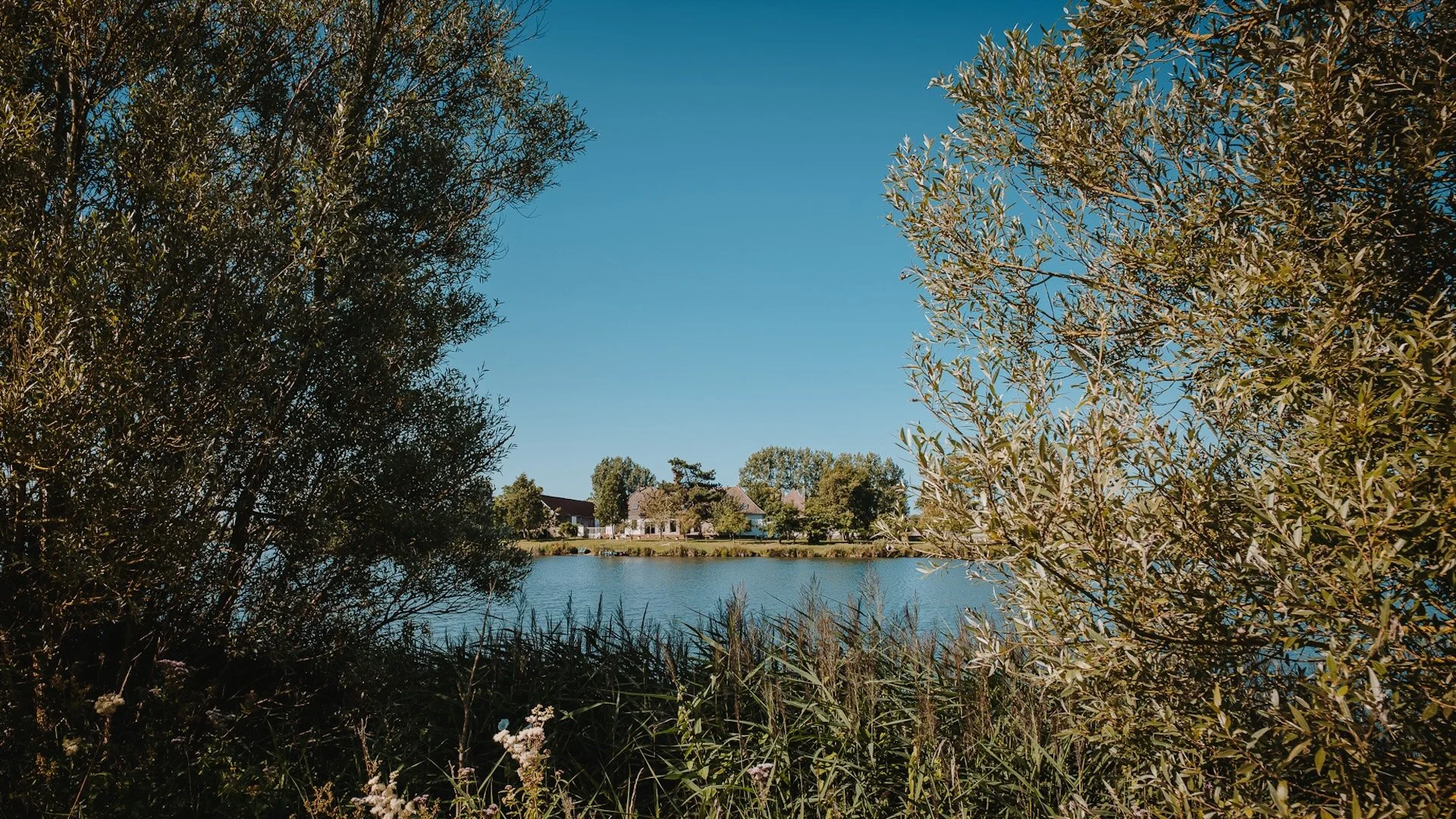 Du 2 au 6 Août 2026 : Retraite yoga et bien-être "Souffle marin" - Baie de somme