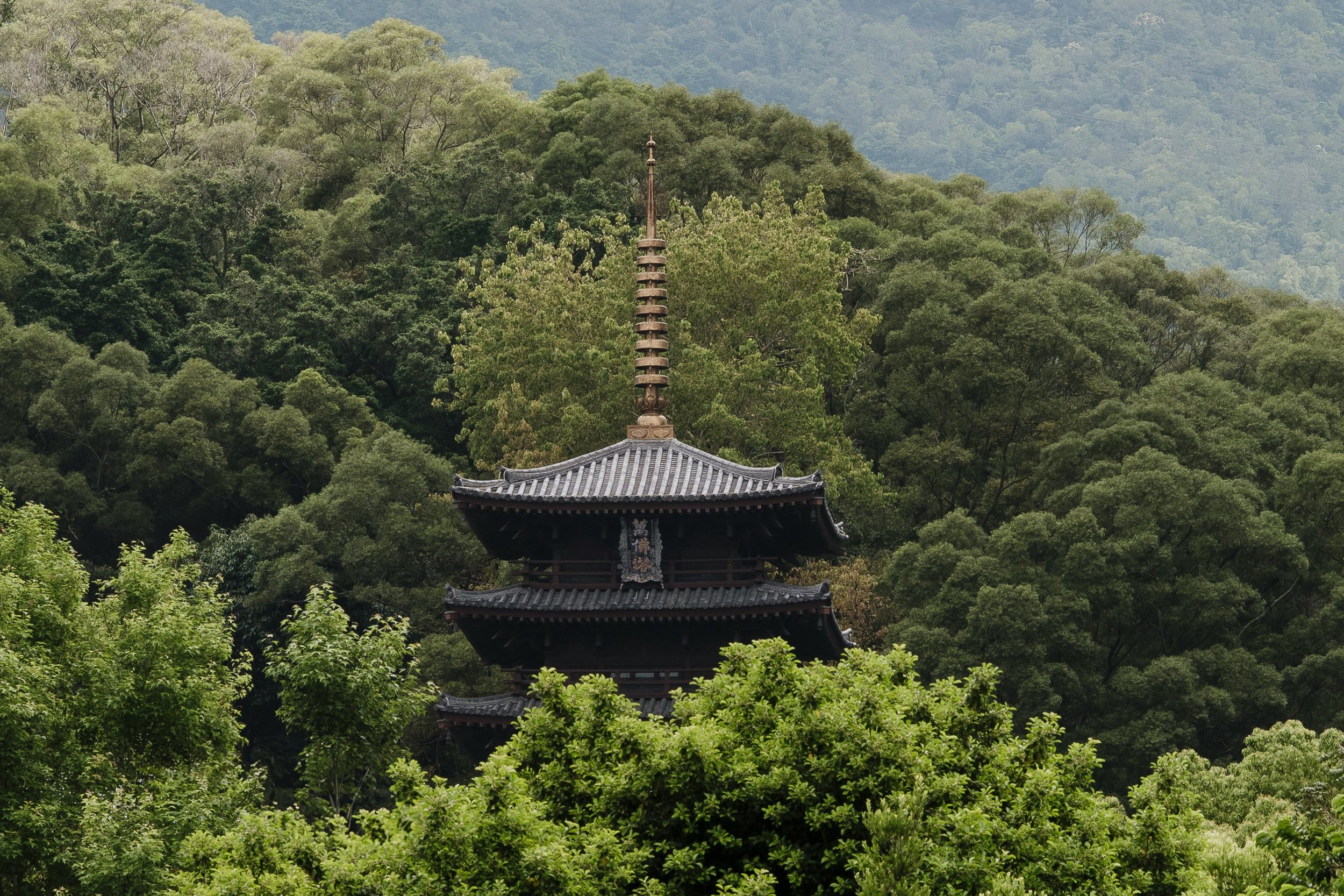 Temple japonais niché au cœur d’une forêt sacrée, lieu de silence et de recueillement. L’harmonie parfaite entre l’architecture spirituelle et la nature.