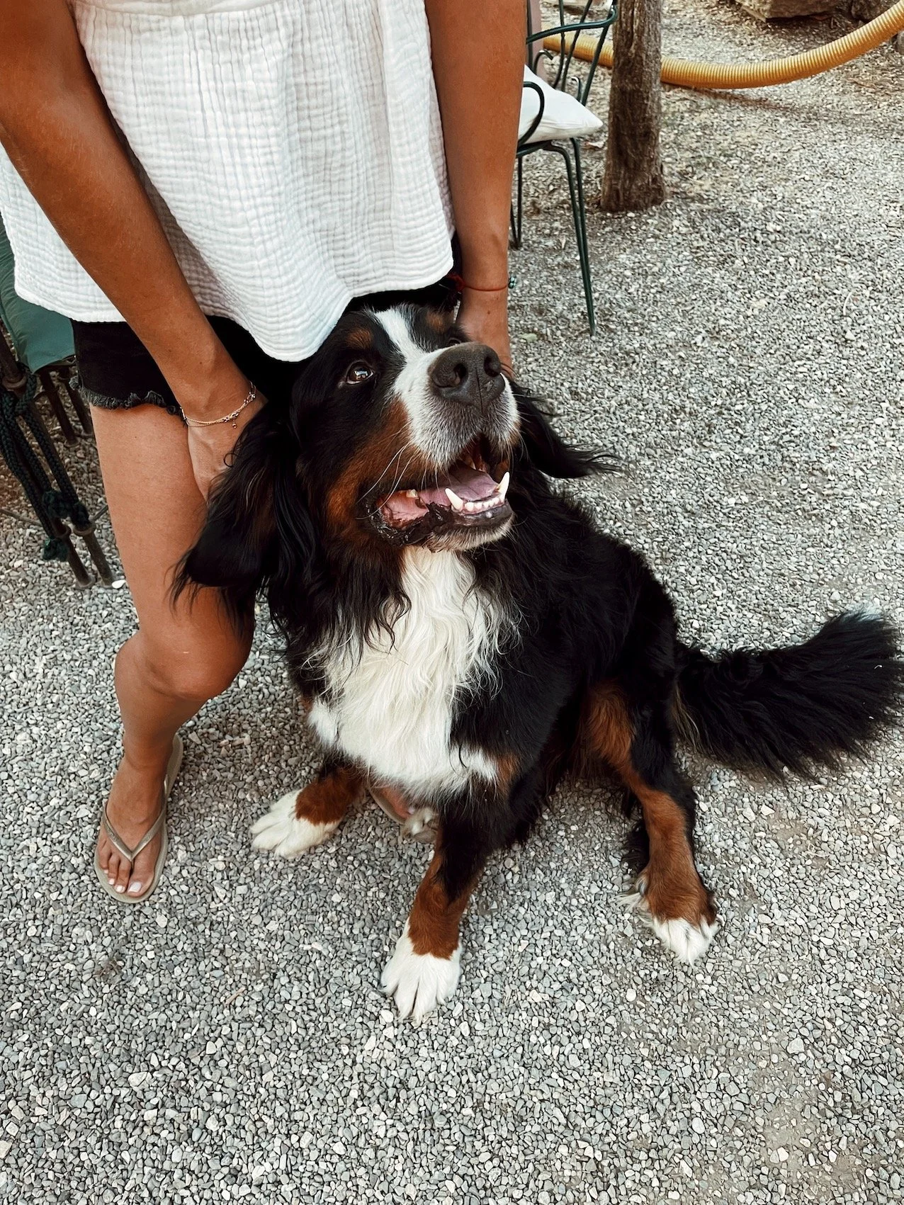 08.22_Toscane.58.JPG