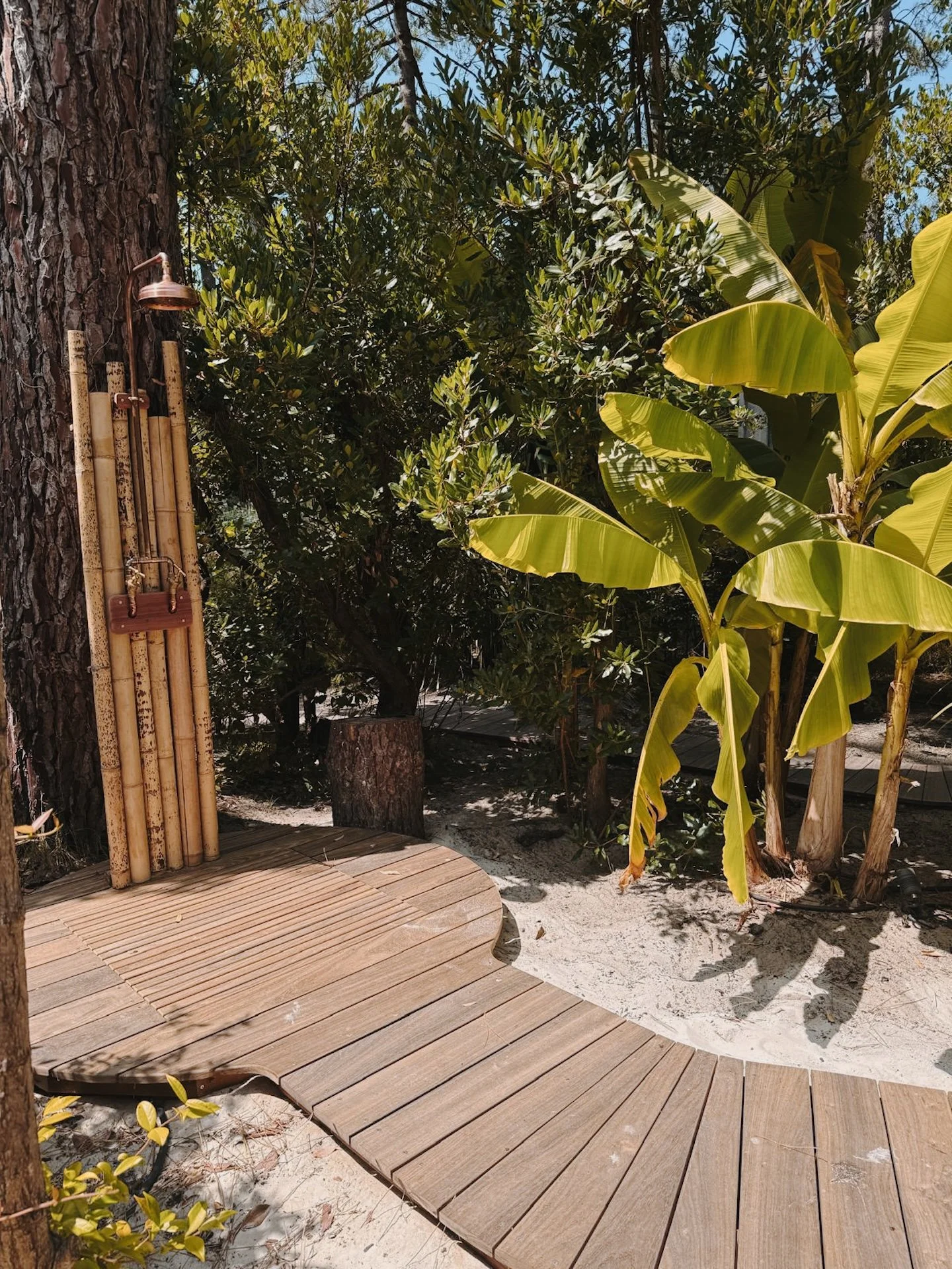 Douche extérieure en bambou et cuivre nichée entre pins et bananiers — immersion dans la nature landaise lors d'une retraite yoga et surf