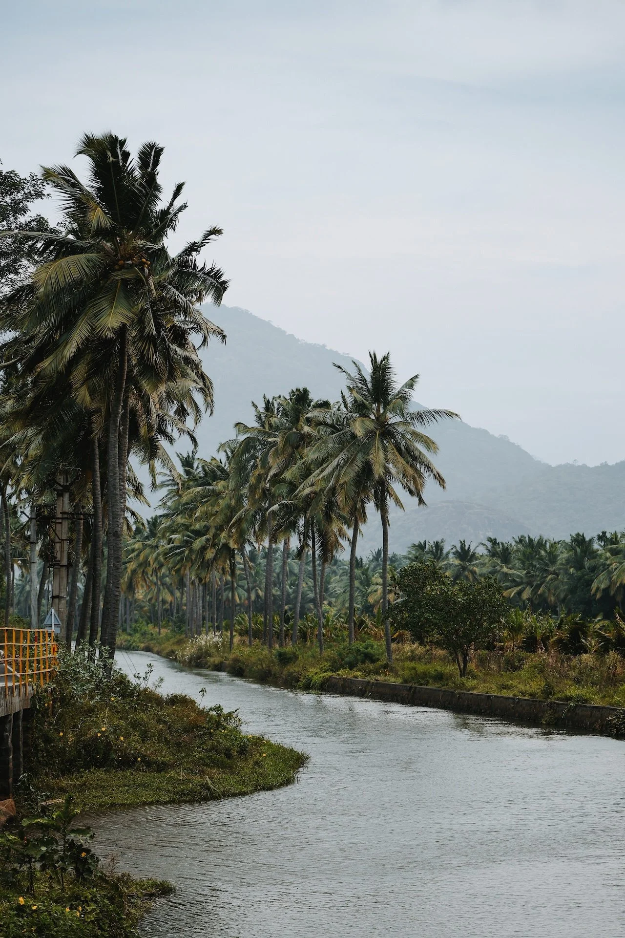 Rivière paisible des Backwaters du Kerala, bordée de palmiers et de végétation tropicale dense, colline verdoyante en arrière-plan — séjour bien-être en Inde du Sud