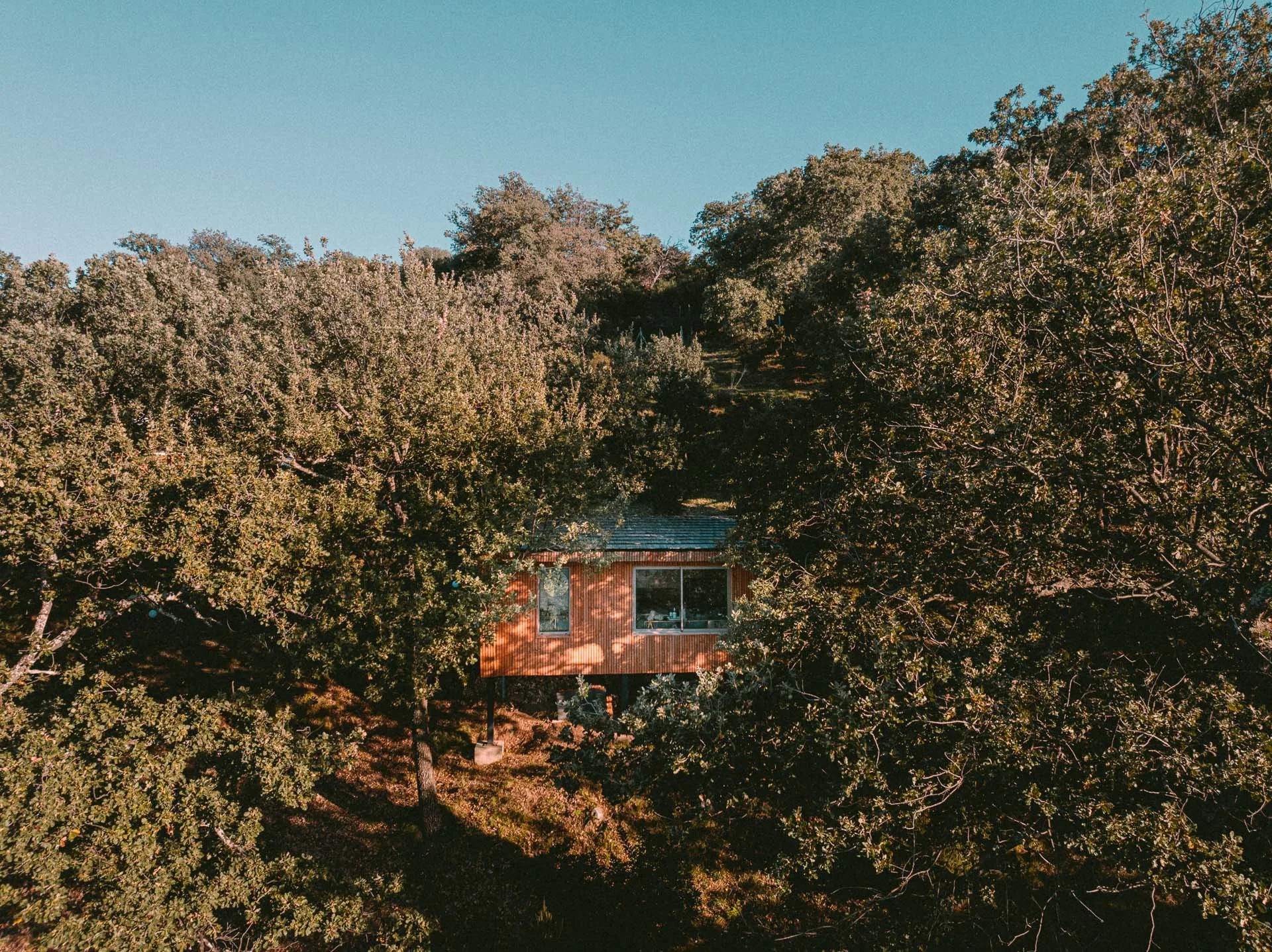 Cabane en bois nichée dans le maquis corse avec vue mer - stage apnée et yoga