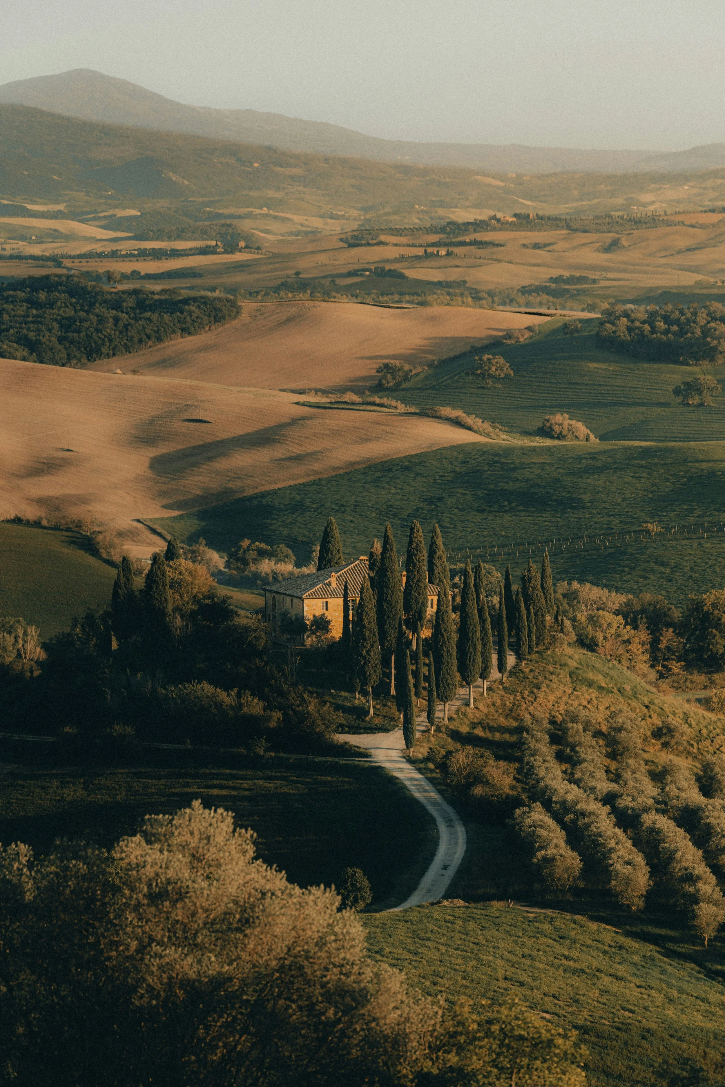 Paysage de collines verdoyantes en Toscane, parfait pour un séjour yoga et ressourcement au printemps