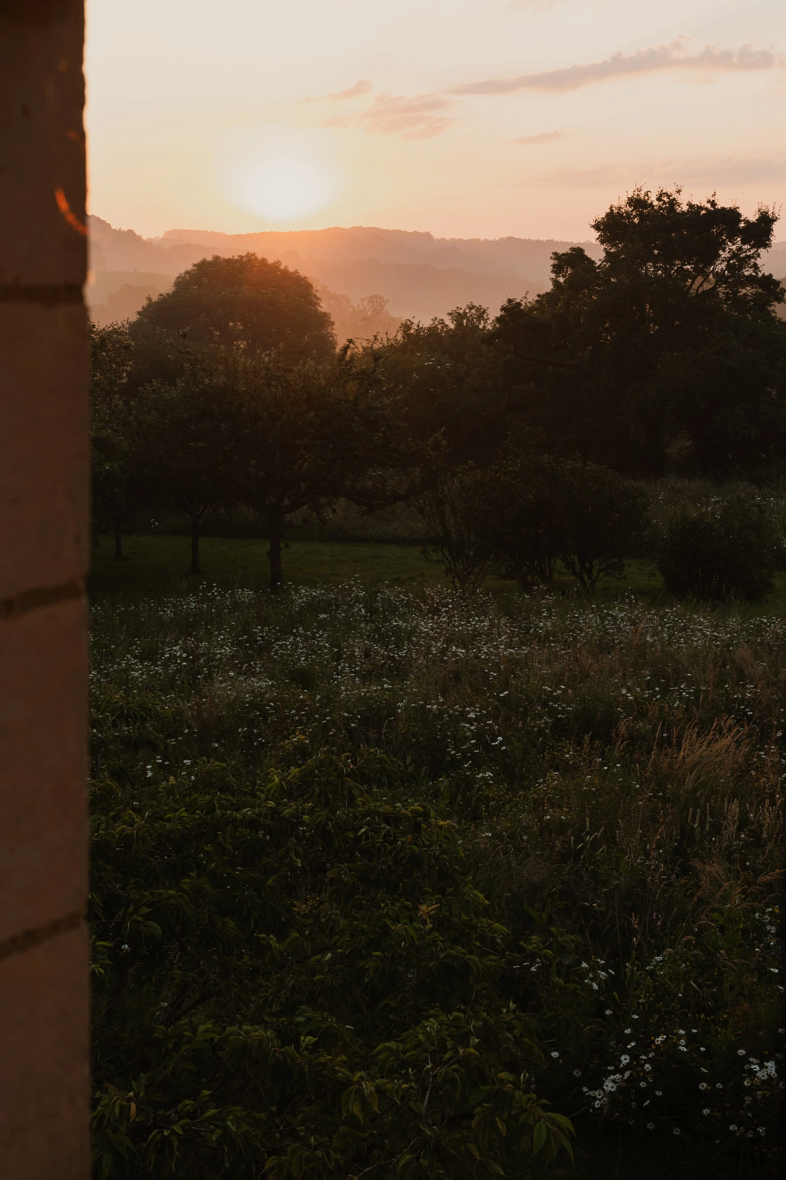 Vue imprenable sur la campagne verdoyante du Perche. Un écrin de nature préservée, cadre idéal pour une retraite yoga & bien-être haut de gamme.