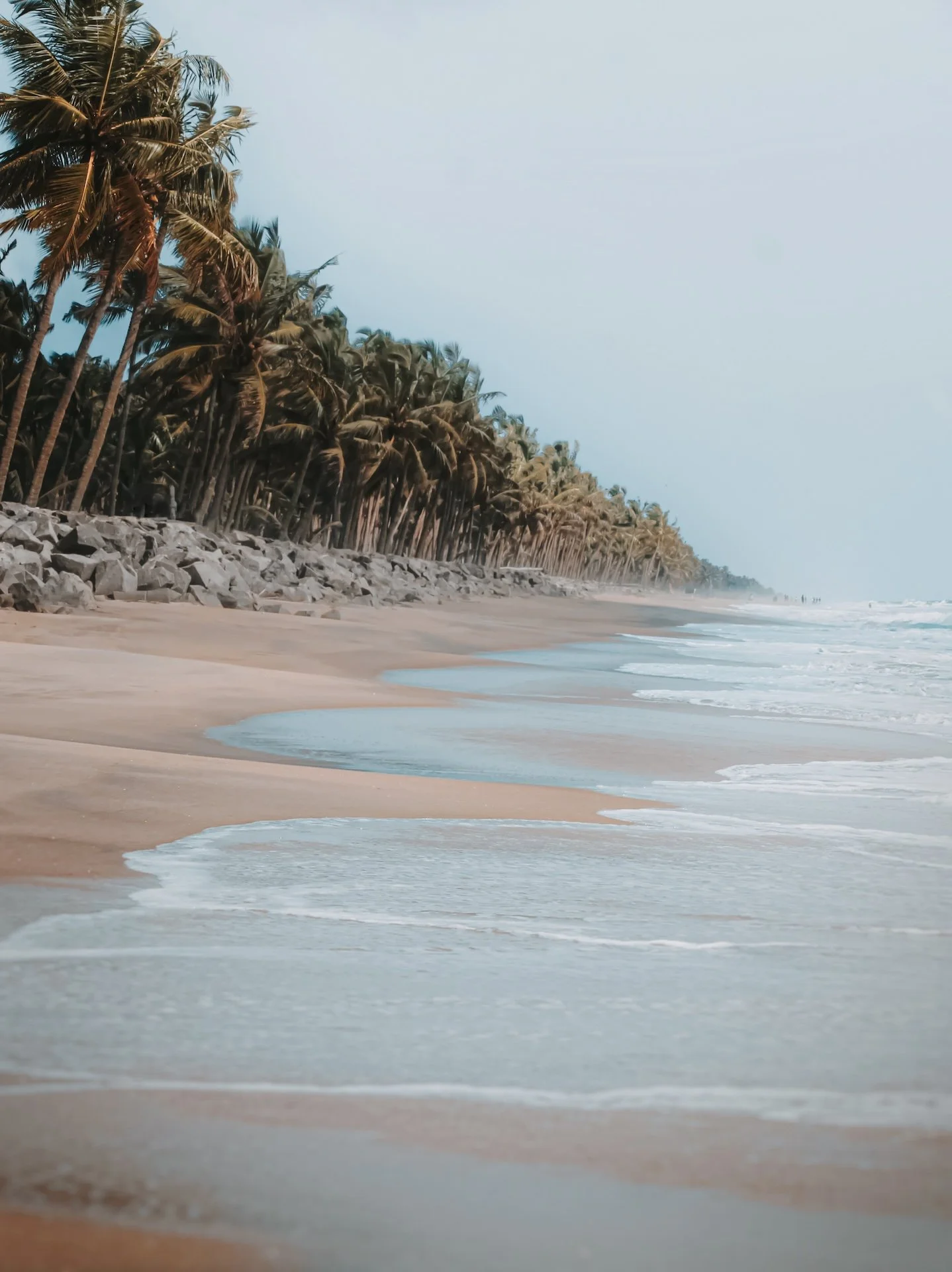 Plage sauvage et déserte du Kerala, palmiers en bord de mer — l'Inde du Sud comme écrin d'un séjour ayurvéda en immersion totale