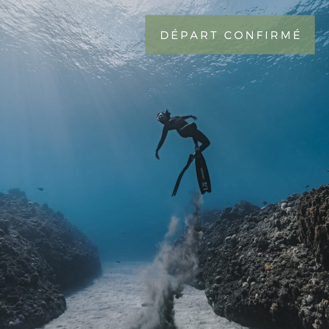 Du 1er au 5 Juillet 2026 : Stage apnée, "Aqua Dance Flow" & yoga - Haute-Corse