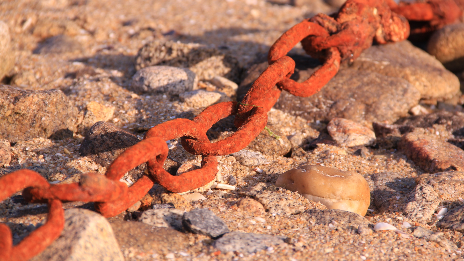 Martes, 24 de Febrero - ¿Y Cómo Podría Ser Que Yo Gane?