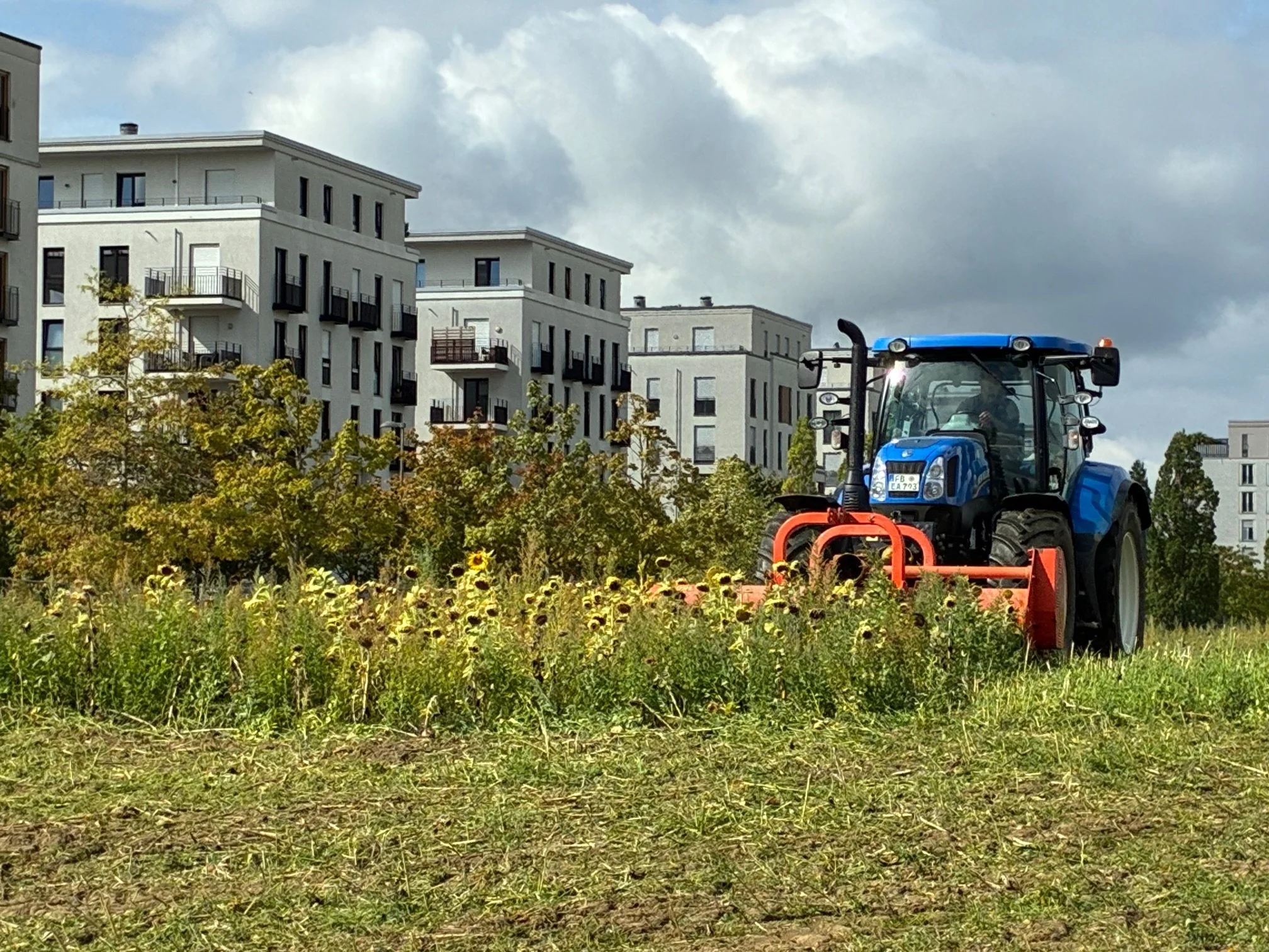 Vegetationsperiode vorbei: Pflanzen werden in den Boden eingearbeitet.