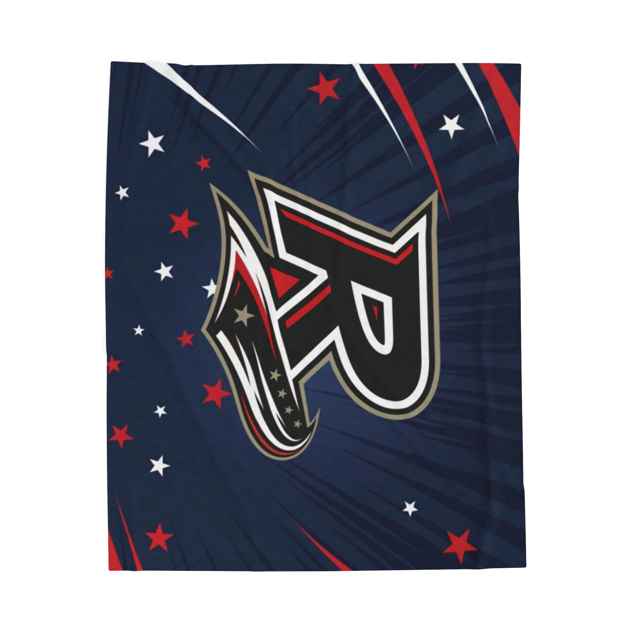 Pinellas Reckless Baseball Velveteen Plush Blanket | Navy Team Logo Throw