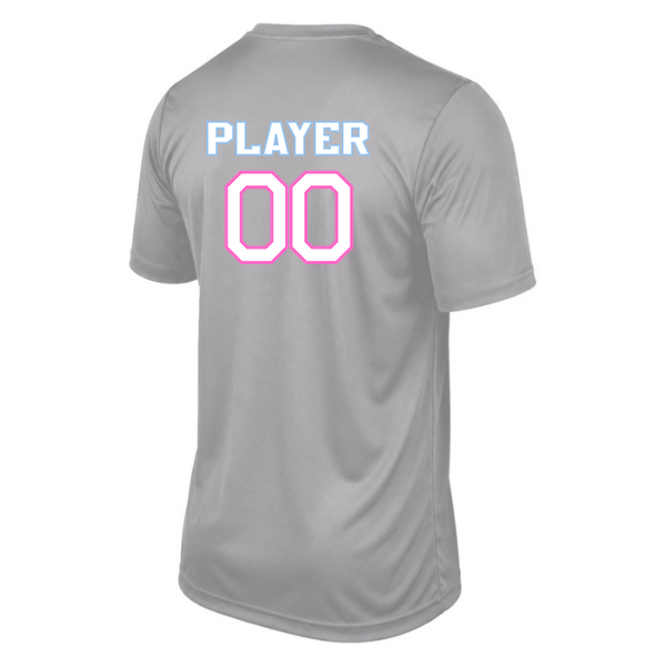 Pinellas Park Softball Minors BARBER Pink Lightning Personalized Youth Vision T-Shirt Jersey