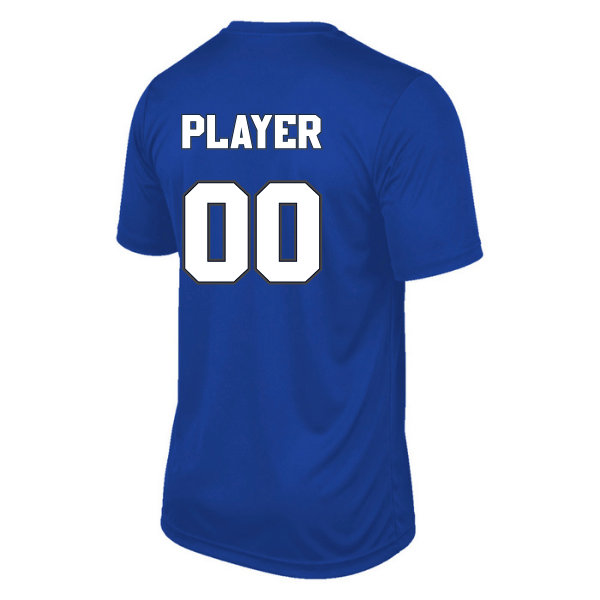 Baseball Coach Pitch–Kampbell Youth Vision Performance Short-Sleeve Tee – Royal – back mockup