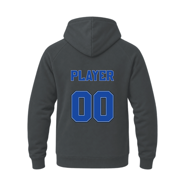 Baseball Coach Pitch–Kampbell Unisex Heavyweight Hooded Sweatshirt – Asphalt – back mockup