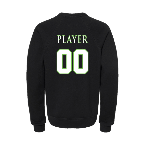 Baseball Coach Pitch–Minor Youth Sponge Fleece Crewneck Sweatshirt – Black – back mockup