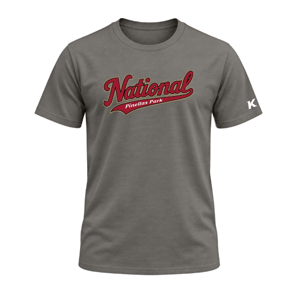 Baseball Majors–Andrix Unisex Jersey Short-Sleeve Tee – National Script – Asphalt – front mockup