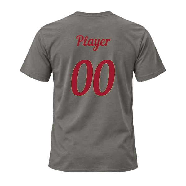 Baseball Majors–Andrix Unisex Jersey Short-Sleeve Tee – National Script – Asphalt – back mockup