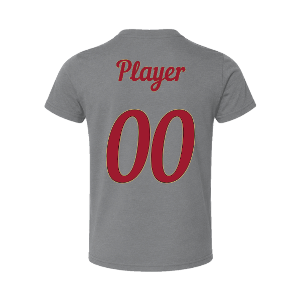 Baseball Majors–Andrix Toddler Jersey Short-Sleeve Tee – National Script – Deep Heather – back mockup