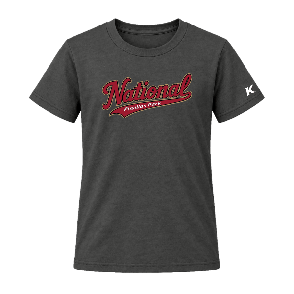 Baseball Majors–Andrix Youth Jersey Short-Sleeve Tee – National Script – Dark Gray – front mockup