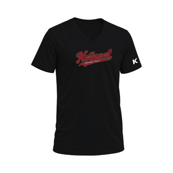 Baseball Majors–Andrix Unisex Heather CVC V-Neck Tee – National Script – Solid Black Blend – front mockup
