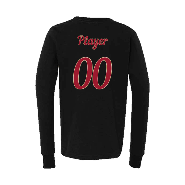 Baseball Majors–Andrix Youth Jersey Long-Sleeve Tee – National Script – Black – back mockup