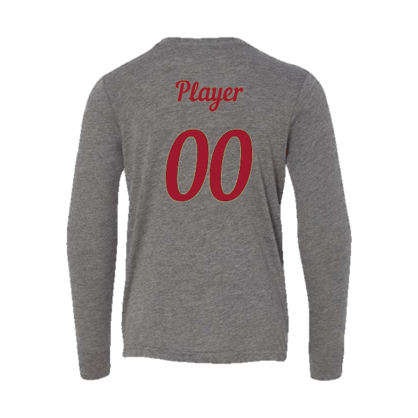 Baseball Majors–Andrix Youth Jersey Long-Sleeve Tee – National Script – Gray Triblend – back mockup