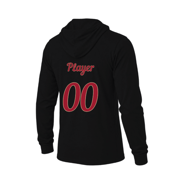 Baseball Majors–Andrix Unisex Jersey Long-Sleeve Hoodie – National Script – Black – back mockup