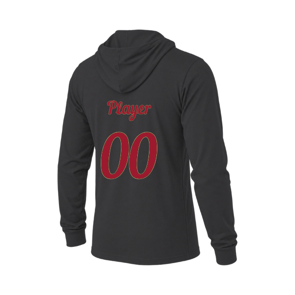 Baseball Majors–Andrix Unisex Jersey Long-Sleeve Hoodie – National Script – Charcoal Black Triblend – back mockup