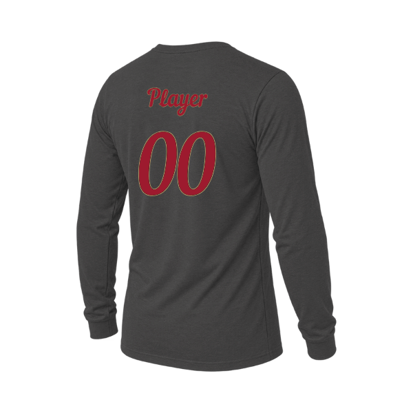 Baseball Majors–Andrix Unisex Triblend Long-Sleeve Tee – National Script – Solid Dark Gray Triblend – back mockup