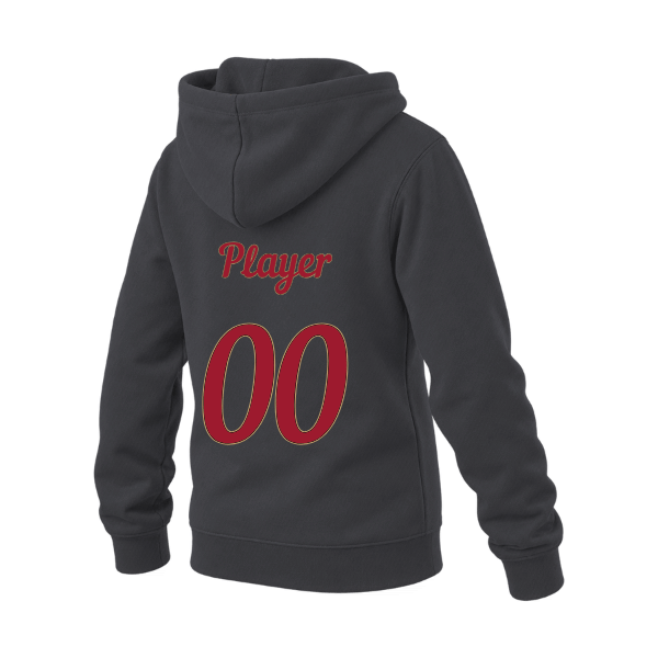 Baseball Majors–Andrix Youth Sponge Fleece Pullover Hoodie – National Script – Dark Gray Heather – back mockup