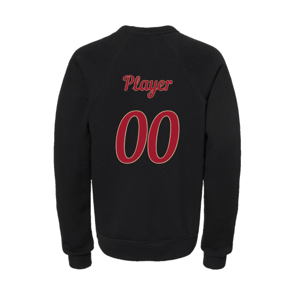 Baseball Majors–Andrix Youth Sponge Fleece Crewneck Sweatshirt – Spartan Helmet – Black – back mockup
