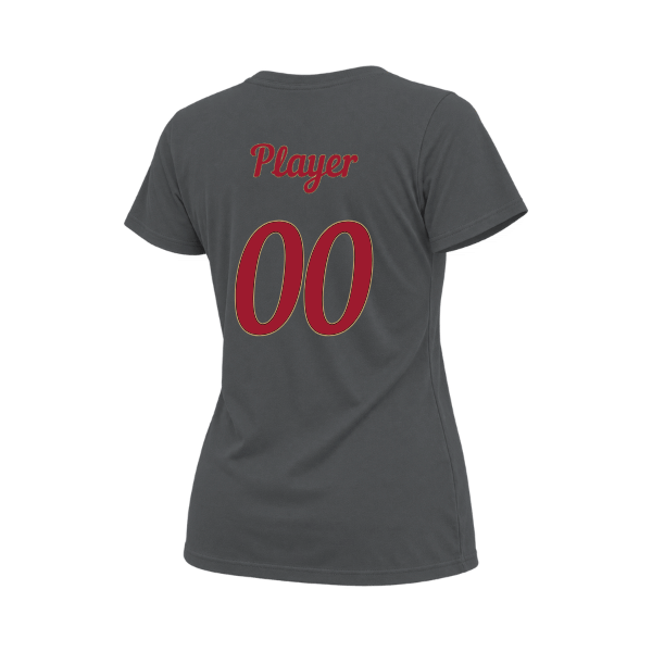 Baseball Majors–Andrix Women's Relaxed Jersey Tee – National Script – Asphalt – back mockup
